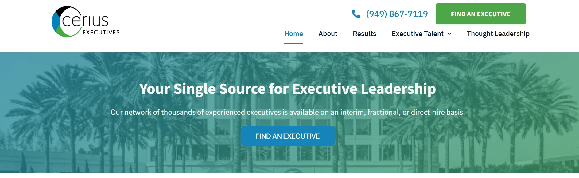 Cerius Executives homepage for interim and fractional C-suite executive placements including fractional CIO services