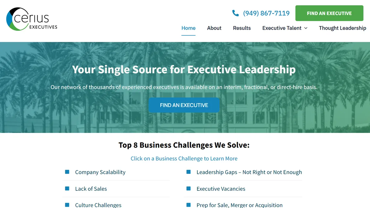 Cerius Executives interim and fractional leadership firm