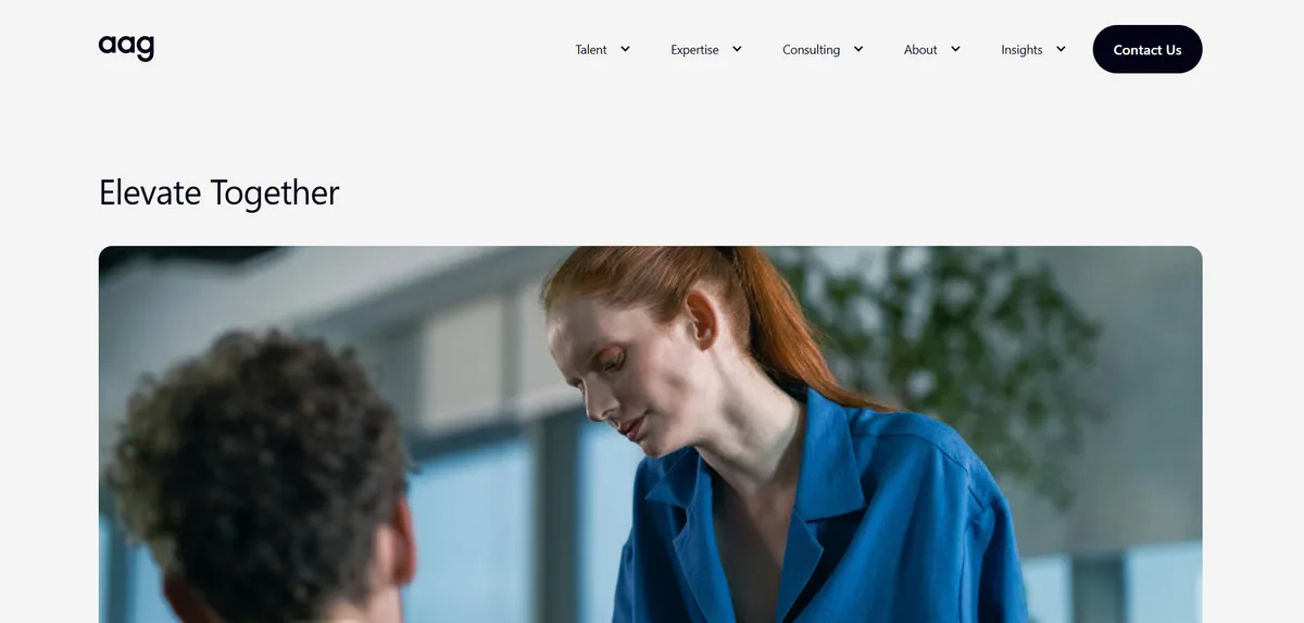 Alpha Apex Group executive search firm homepage, CDO placement