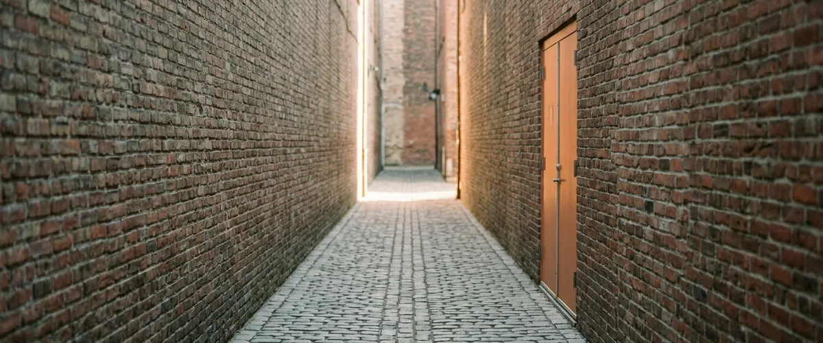 A narrow cobblestone alley between tall brick walls with warm light at the far end, for a post on job requirements that are too specific